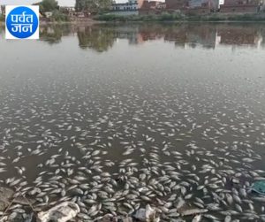Read more about the article एक्सक्लूसिव खुलासा  : मछली के जलाशयों के ठेके में लाखों का घपला ।