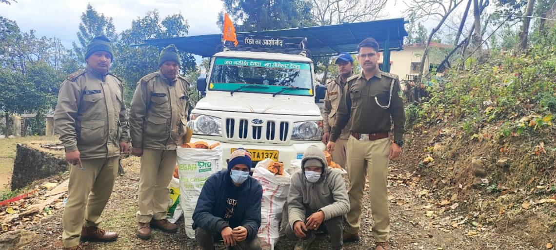 बड़ी खबर : वन विभाग द्वारा कांजल की लकड़ी के अवैध अभिवहन करने वालों को भेजा जेल