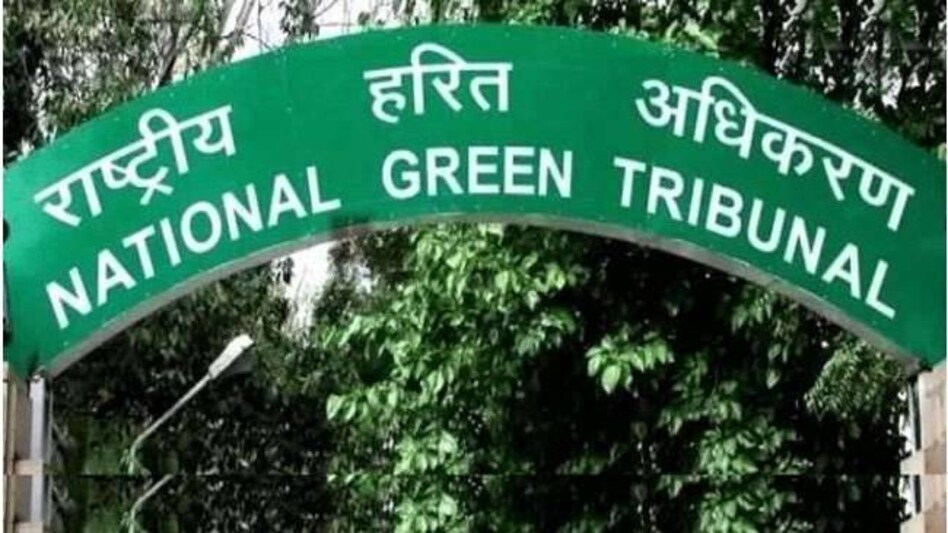 Read more about the article एनजीटी का डंडा : हरे फलदार पेड़ काटने पर डीएम डीएफओ सहित चार पर जुर्माना। शिकायतकर्ता को मिल रही धमकियां