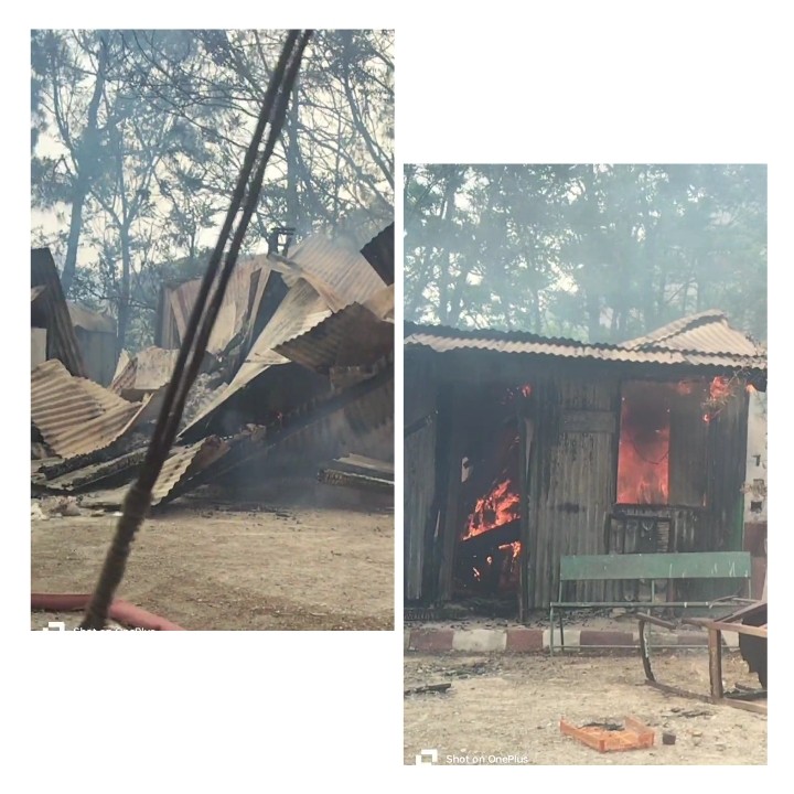 Read more about the article जंगल की आग ने मैग्नेसाइट फैक्ट्री के 12 कमरे जला दिए। बमुश्किल आग पर काबू…