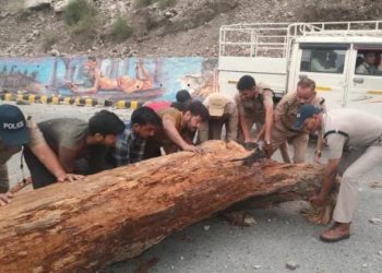 हादसा : तेज आंधी में गिरा विशालकाय पेड़। चपेट में आय स्कूटी सवार की मौत ..