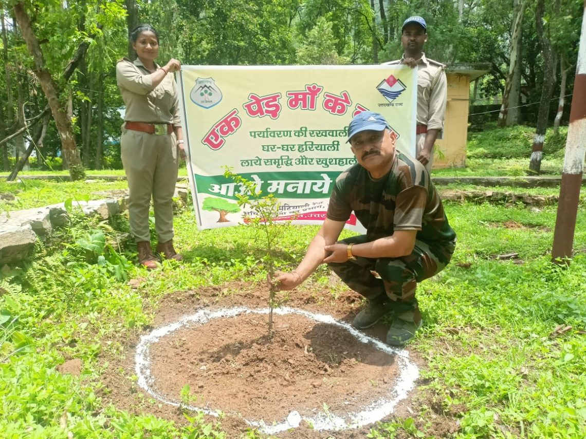 एक पेड़ मां के नाम के तहत मटियाली रेंजर बिशन दत्त जोशी ने विभिन्न सामाजिक संगठनों के साथ मिलकर मनाया हरेला पर्व