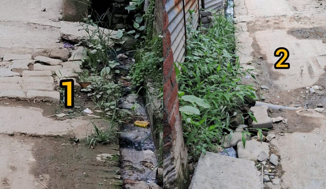 स्वच्छ भारत अभियान में फिसड्डी नगर पंचायत।