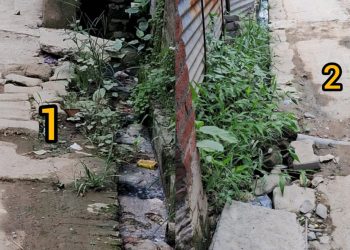 स्वच्छ भारत अभियान में फिसड्डी नगर पंचायत।