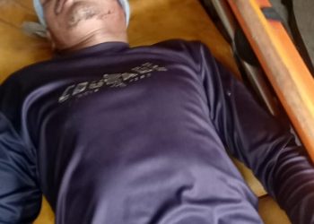 दहशत : यहां भालू के ग्रामीणों पर आत्मघाती हमले। कुंभकर्ण की नींद सोया वन विभाग …