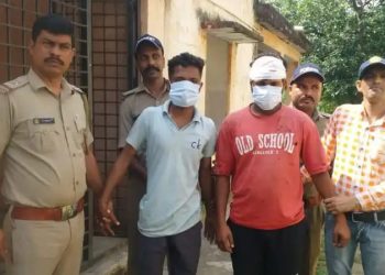 बेखौफ वनतस्कर: लकड़ी काटकर भागते दो गिरफ्तार, चार फरार। तीन वनकर्मी घायल