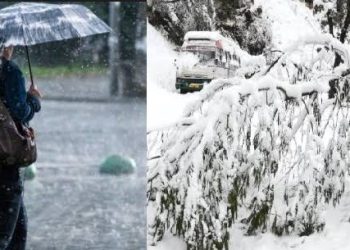 मौसम अपडेट : सीजन की पहली बर्फबारी से खिले पर्यटकों के चेहरे। अगले दो दिन अलर्ट