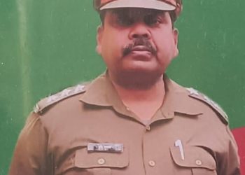 एक्शन: टोंस वन प्रभाग ने बरामद की 28 नग अवैध कैल की लकड़ी । दो तस्कर गिरफ्तार