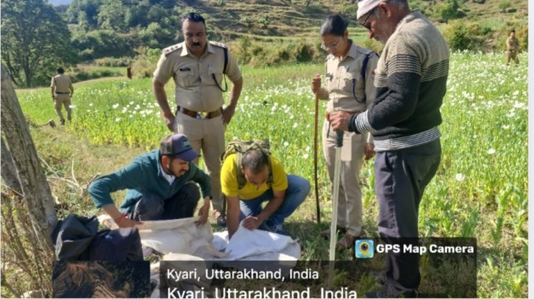 पुलिस की बड़ी कार्रवाई: 25 नाली में फैली अवैध अफीम की खेती नष्ट