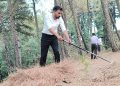 वनाग्नि का नहीं, आर्थिकी का कारक बनेगा पिरुल – डीएम डॉ आशीष चौहान