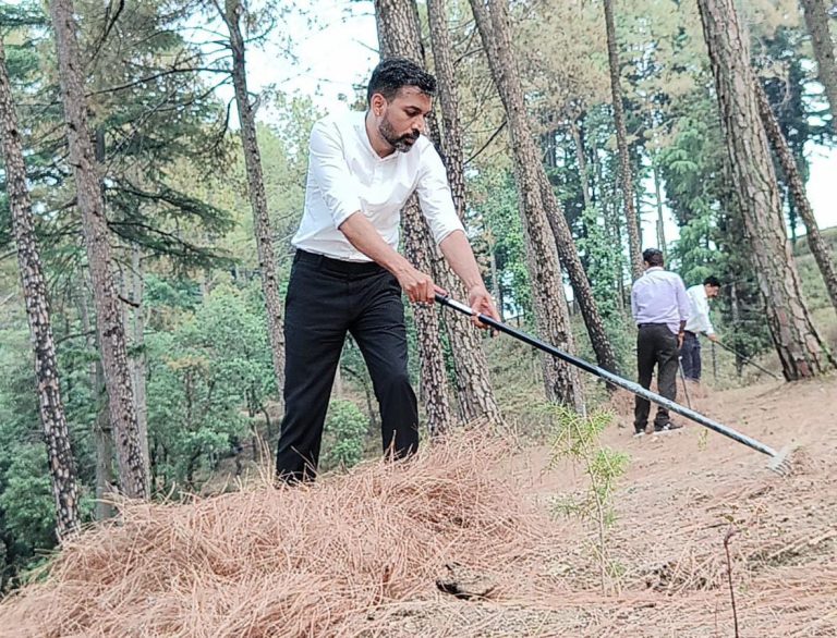 वनाग्नि का नहीं, आर्थिकी का कारक बनेगा पिरुल – डीएम डॉ आशीष चौहान