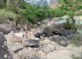 हादसा: टोंस नदी में फिसलकर गिरा युवक। रेस्क्यू ऑपरेशन जारी..