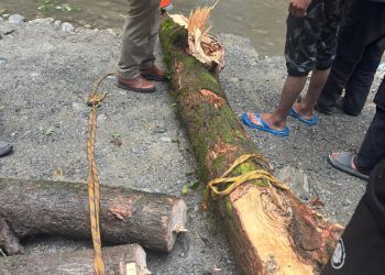हादसा: टाइगर फॉल में पहाड़ी से गिरा पत्थर । दो पर्यटकों की दर्दनाक मौत..
