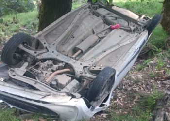 हादसा: 100 फीट गहरी खाई में गिरी कार। एक की मौत, दो गंभीर घायल