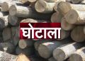वन निगम में बड़ा घोटाला: 7.80 लाख की लकड़ी चहेतो को सिर्फ 6.70 लाख में बेची। अब बैठी जांच 