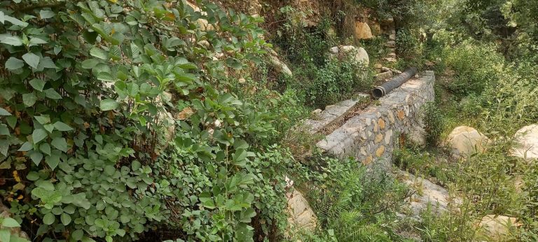 बड़ी खबर: सिचाई नहरें क्षतिग्रस्त, विभाग पस्त काश्तकार त्रस्त