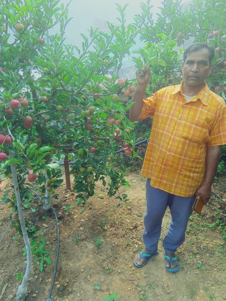 बंजर ज़मीन को किया उपजाऊ: पौड़ी गढ़वाल के घनश्याम ने सेब और कीवी की खेती से रच दिया इतिहास