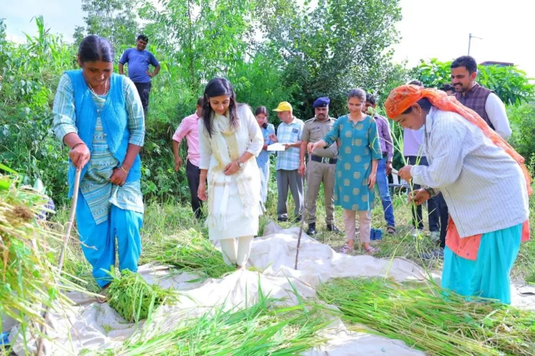 बड़ी खबर: ग्रामीणों के संग खेतों में पहुंची डीएम। धान की कटाई और मंडाई में हुई शामिल