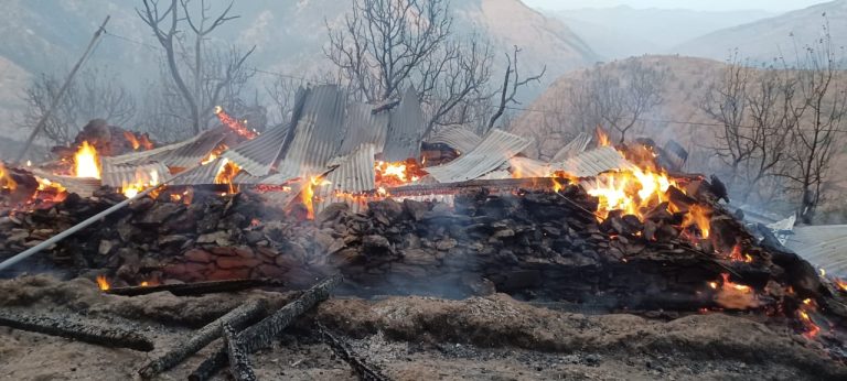 मोरी क्षेत्र में भीषण आग, तीन मंजिला घर राख में तब्दील, पालतू पशु जिंदा जले