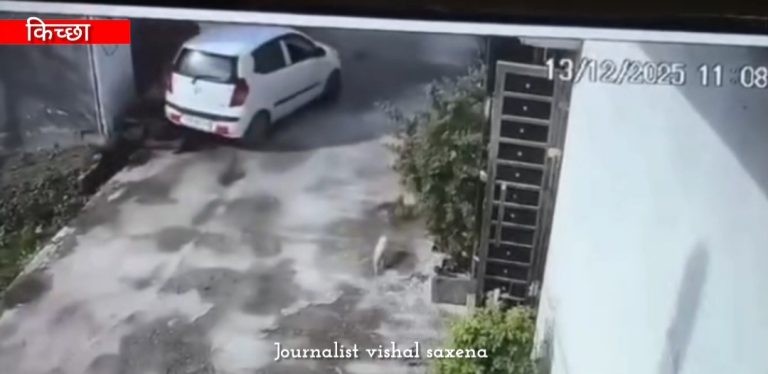 दुर्घटना : घर के बाहर बैठी बुजुर्ग महिला को कार ने रौंदा, वीडियो