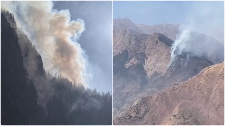 नंदा देवी राष्ट्रीय पार्क में आग का तांडव, लगातार पांचवें दिन भी नहीं मिला नियंत्रण