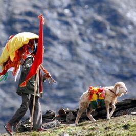 एशिया की सबसे कठिन नंदा देवी राजजात यात्रा 2026 पर संकट, 23 जनवरी को होगा अंतिम निर्णय