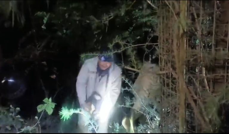 नैनीताल हाईवे पर रफ्तार का कहर, स्विफ्ट कार गहरी खाई में समाई