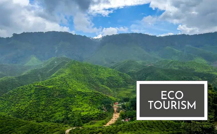 इको-टूरिज्म या इको-स्कैम? मुन्स्यारी के जंगलों में 1.63 करोड़ का खेल बेनकाब