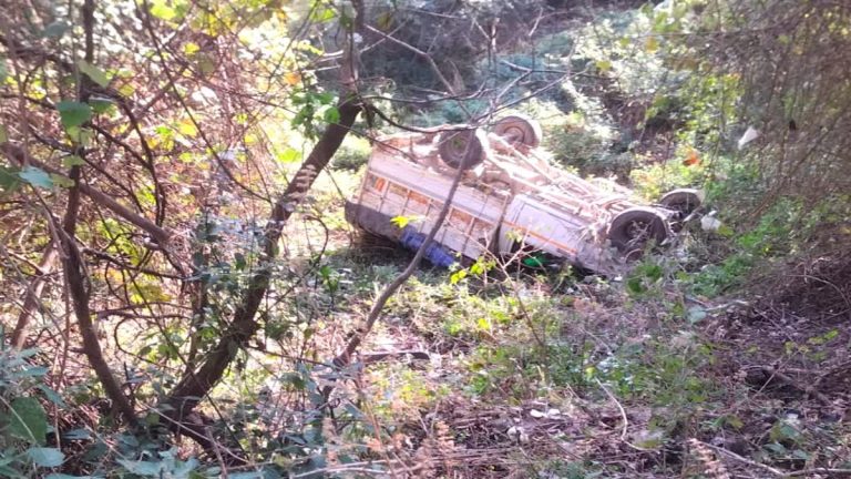 खराब सड़क बनी काल: सराईखेत मार्ग पर पिकअप हादसा, पांच की हालत नाजुक