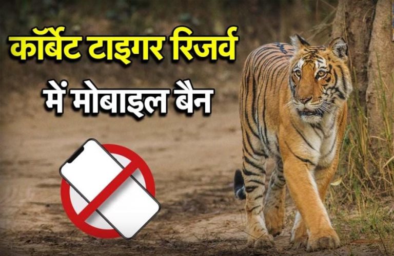 कॉर्बेट टाइगर रिजर्व में सख्ती, सफारी के दौरान मोबाइल फोन पूरी तरह प्रतिबंधित