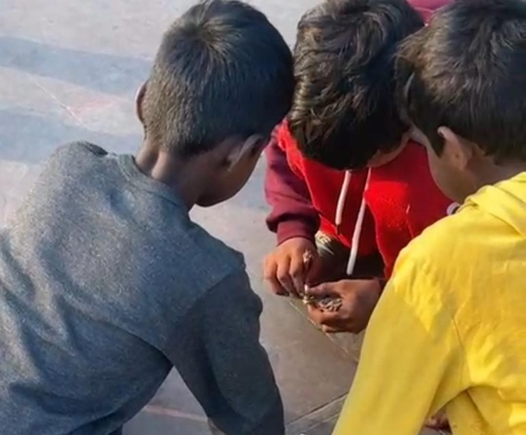 त्रिवेणी घाट जैसे पवित्र स्थल पर नाबालिगों द्वारा जुआ-सट्टा, निगरानी व्यवस्था पर गंभीर सवाल