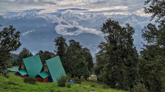 1.63 करोड़ की गड़बड़ी पर घिरा वन विभाग, सूचना आयोग ने मांगी पूरी जांच रिपोर्ट