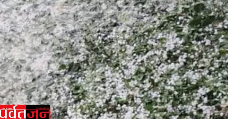 बड़ी खबर: ओलावृष्टि से तबाही। सेब-आड़ू की फसल बर्बाद, किसानों की बढ़ी चिंता