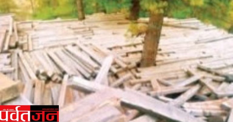 यहां जंगलों में सड़ रहा करोड़ों का स्लीपर: फाइलों में अटका सिस्टम, खुले आसमान के नीचे गल रही सरकारी संपत्ति