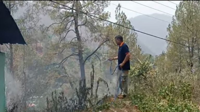 पत्रकार की सतर्कता से टला बड़ा हादसा, जंगल तक पहुंचने से पहले बुझाई आग