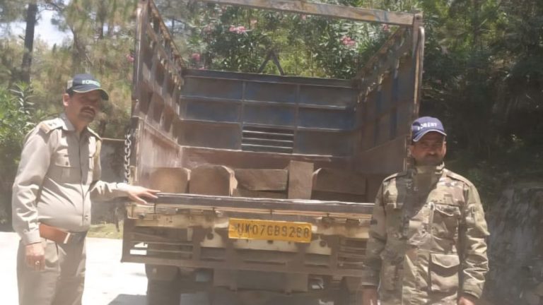 एक्शन: वन विभाग ने पकड़ा देवदार की लकड़ी से भरा वाहन।चालक फरार, मुकदमा दर्ज