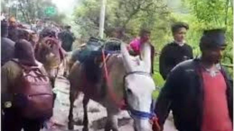 बड़ी खबर: मजदूरों और घोड़ा-खच्चर संचालकों की सुविधाओं का भी अभाव, स्थानीयों में नाराज