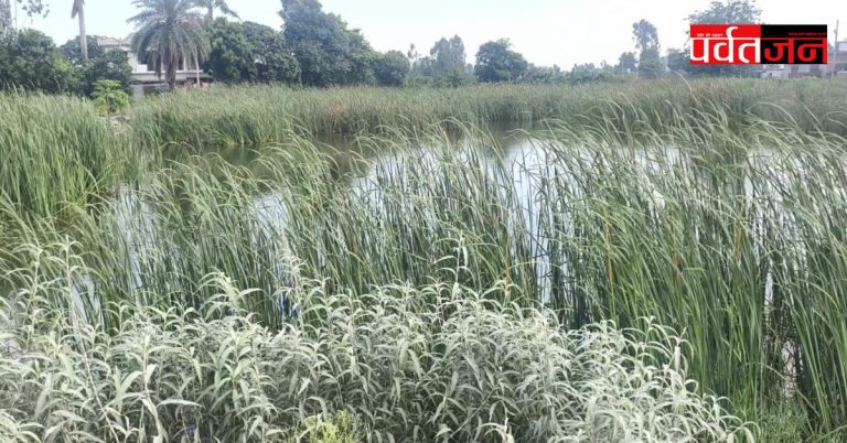 अमृत सरोवर योजना: एक ही ब्लॉक में दो तस्वीरें, कहीं बदहाली तो कहीं सुरक्षा का संकट