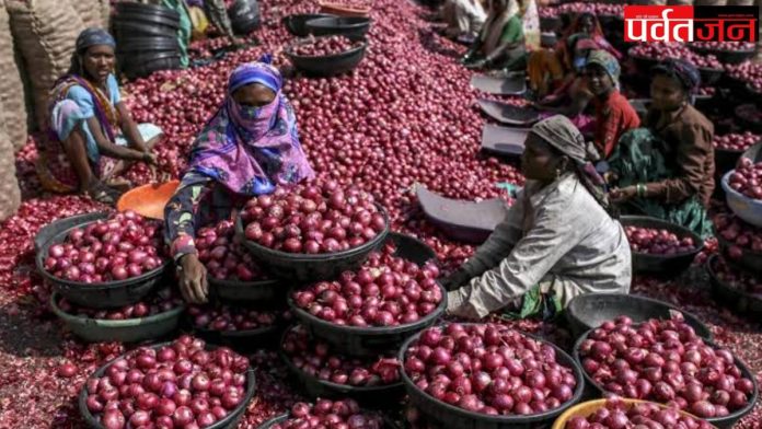 Onion Price News